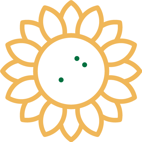 spot_img